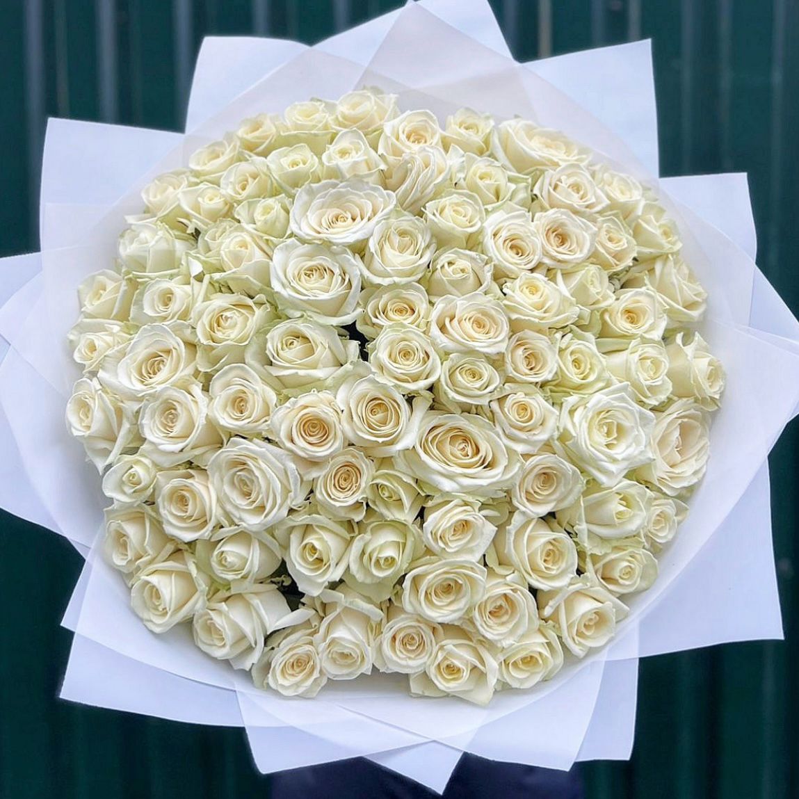 103 Luxury Roses (colore a scelta) - DELUXY