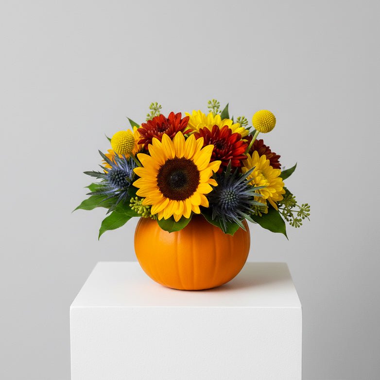 Mini Zucca Floreale - DELUXY