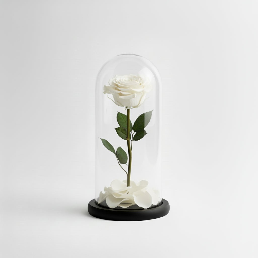 Rosa Eterna Bianca - DELUXY