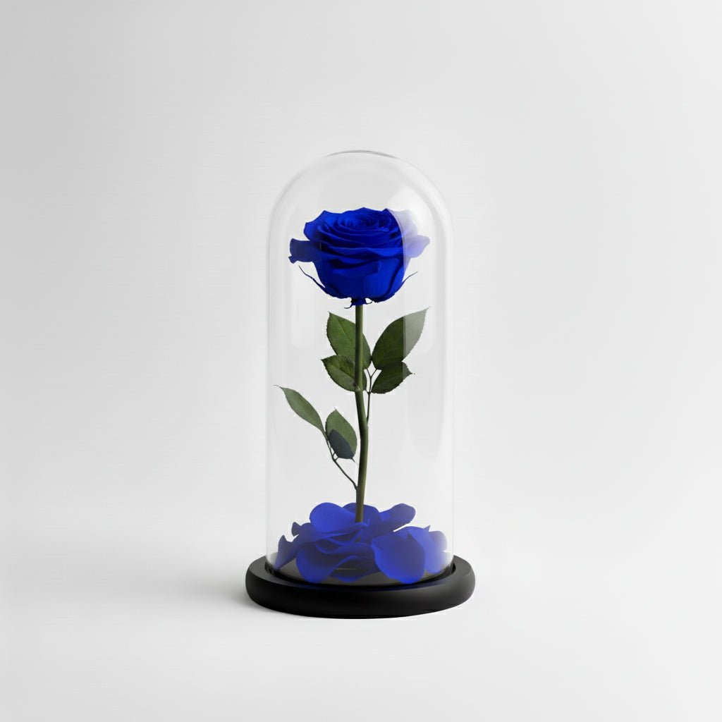Rosa Eterna Blu - DELUXY