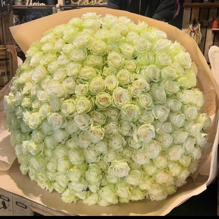 100 Roses