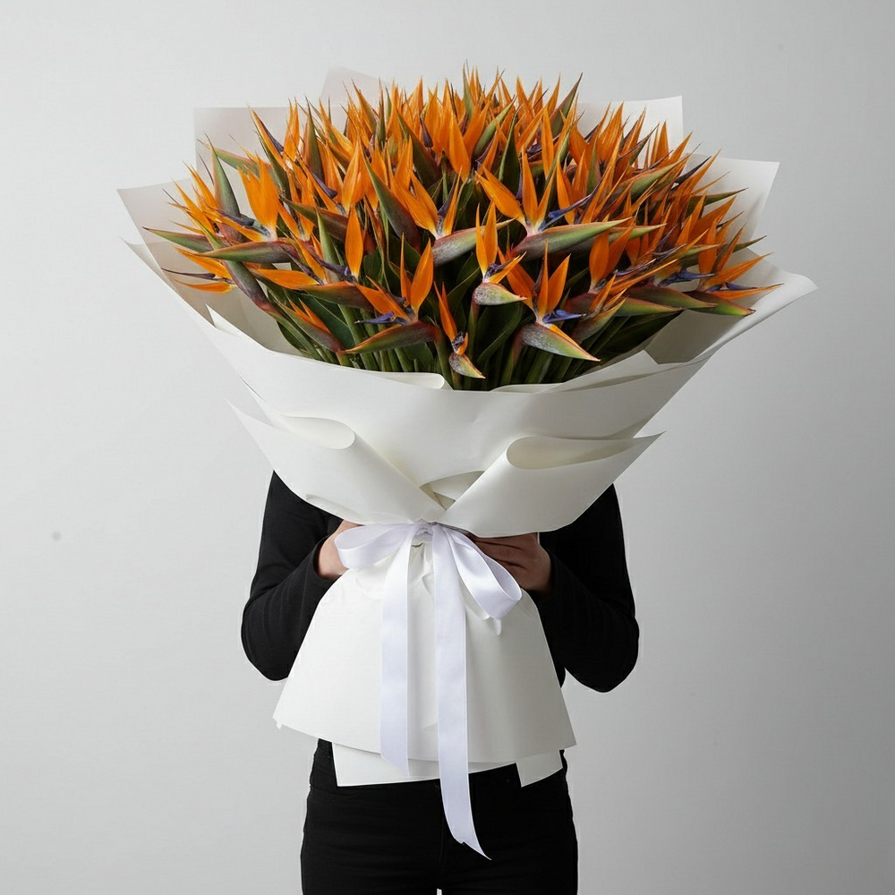 MAXI Bouquet Sterlizie