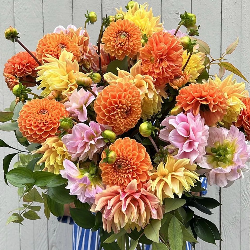 Bouquet Dalie Colorate - DELUXY