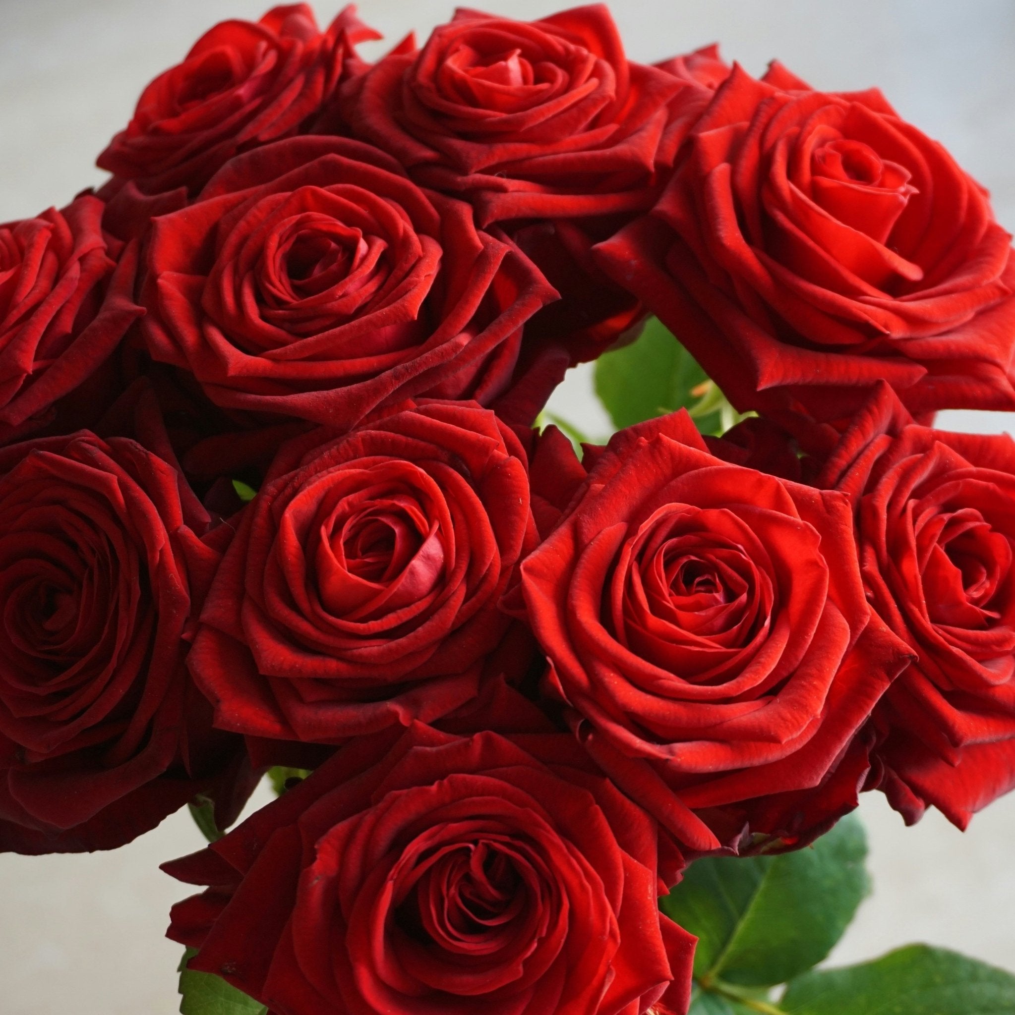Bouquet Rose Rosse - DELUXY