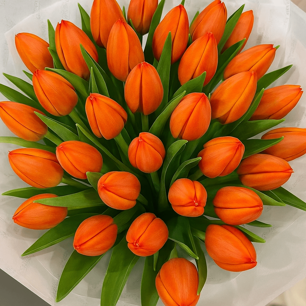 Bouquet Tulipani Arancioni - DELUXY