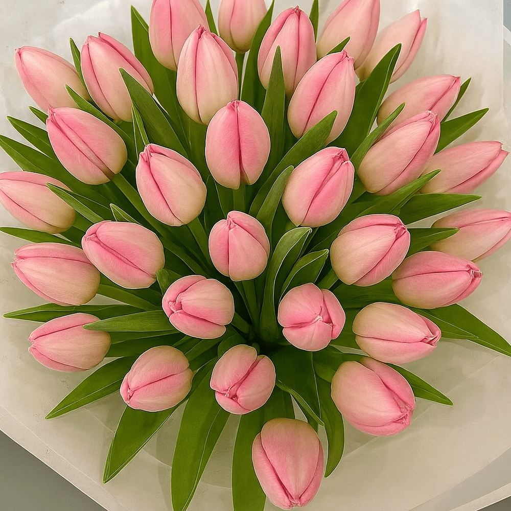 Bouquet Tulipani Rosa - DELUXY