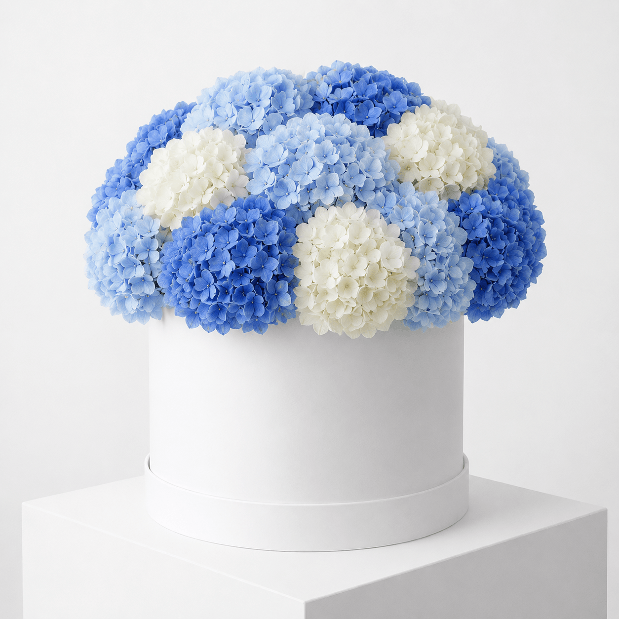 Cappelliera Ortensie Bianche Blu e Azzurre - DELUXY