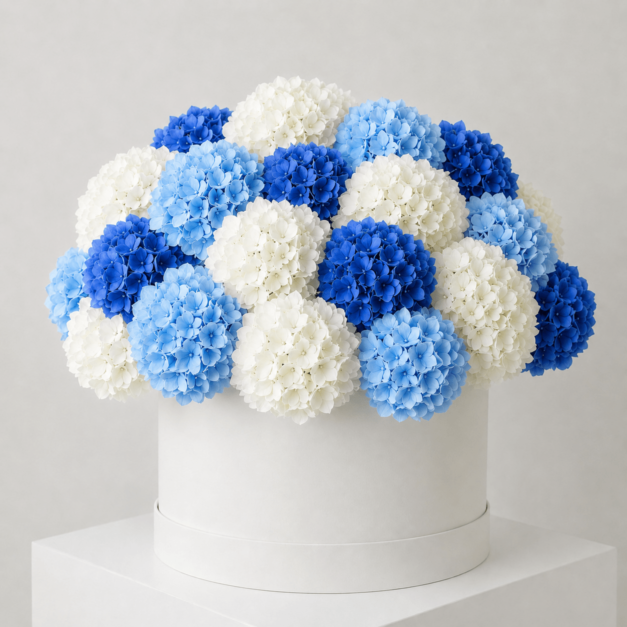 Cappelliera Ortensie Bianche Blu e Azzurre - DELUXY