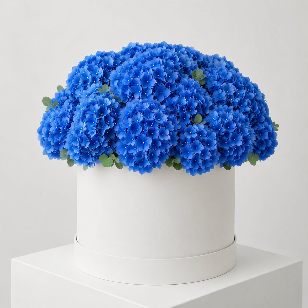 Cappelliera DELUXY di ortensie blu in scatola bianca