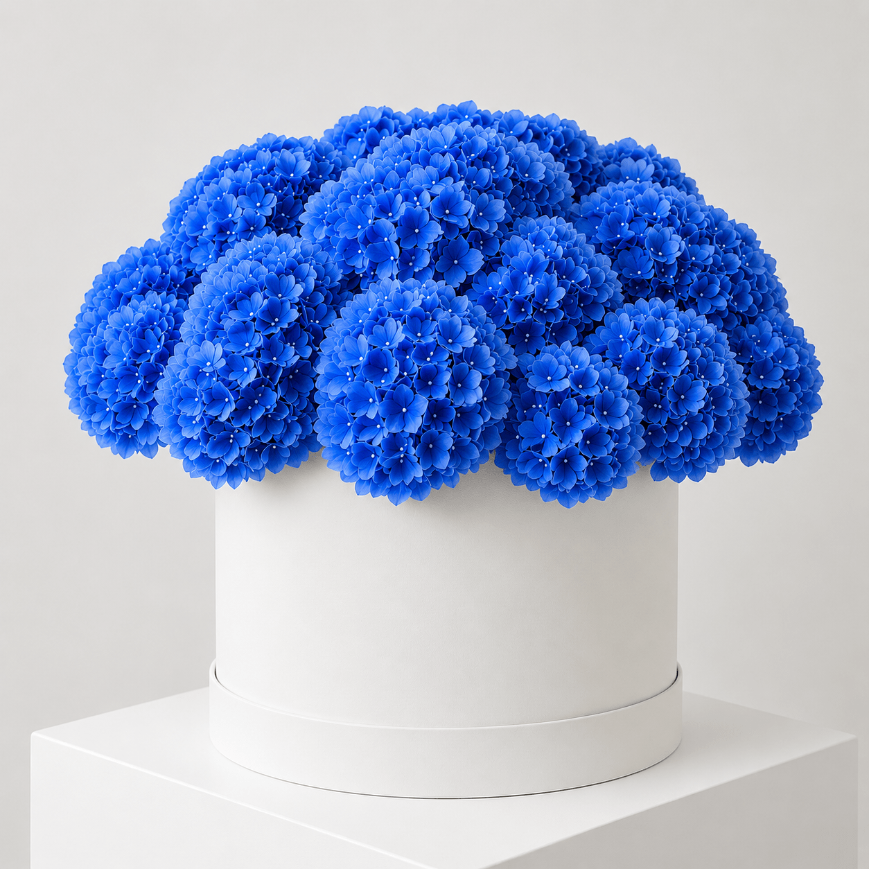 Cappelliera Ortensie Blu - DELUXY