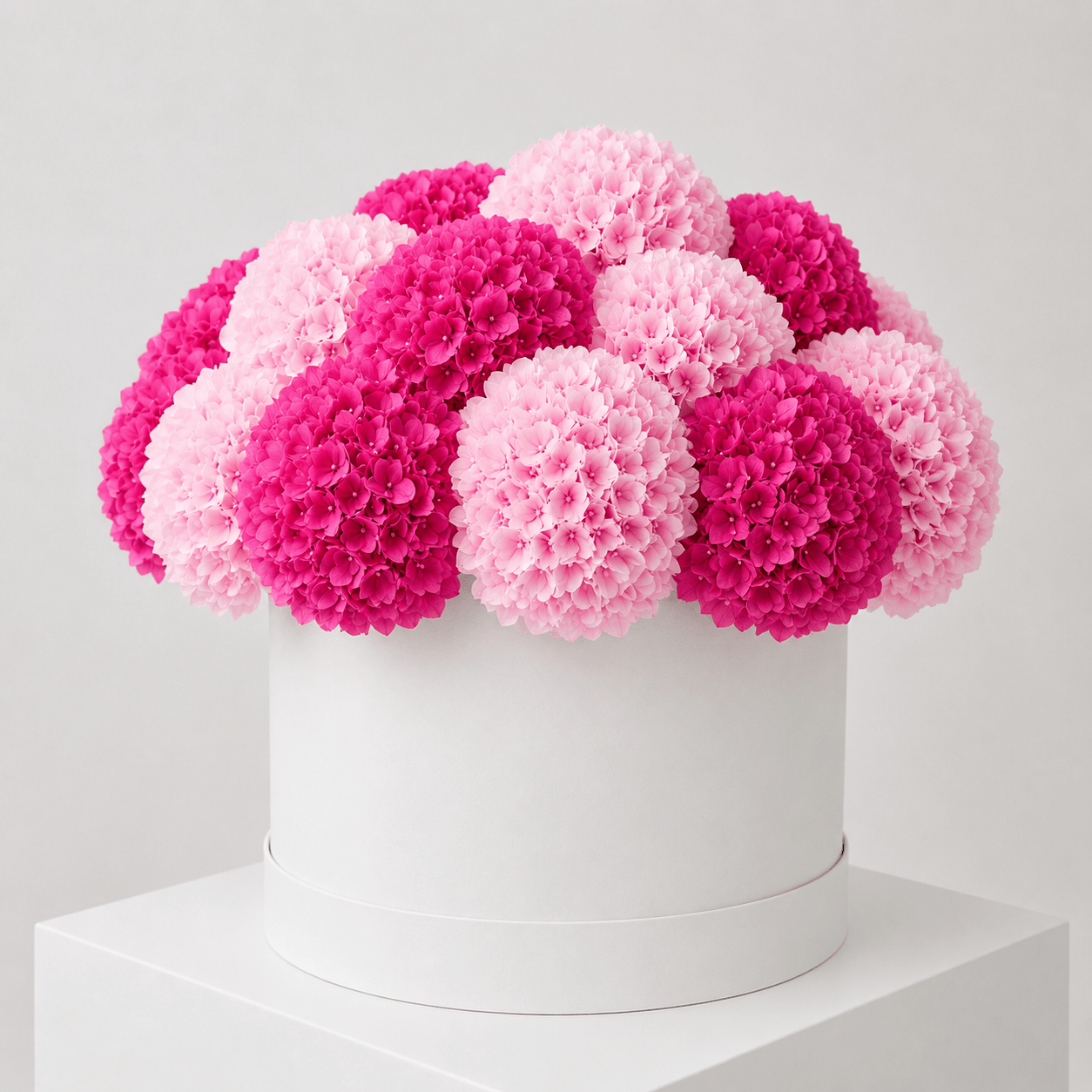 Cappelliera Ortensie Rosa e Fucsia - DELUXY
