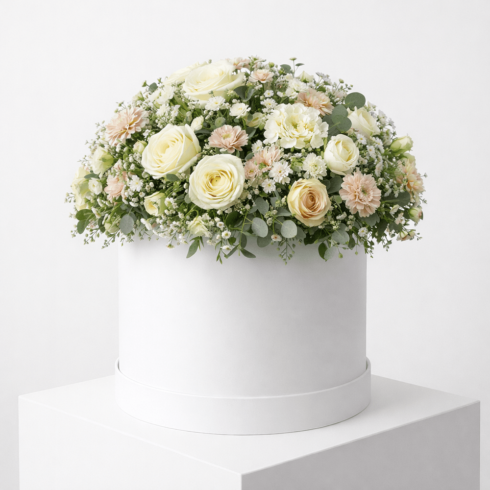 Cappelliera Sanremo Purezza - DELUXY