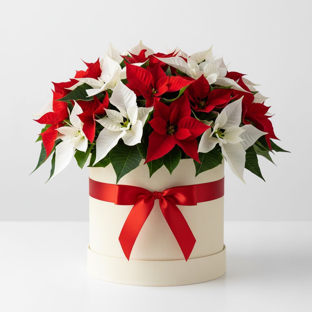 Cappelliera Stelle di Natale - DELUXY