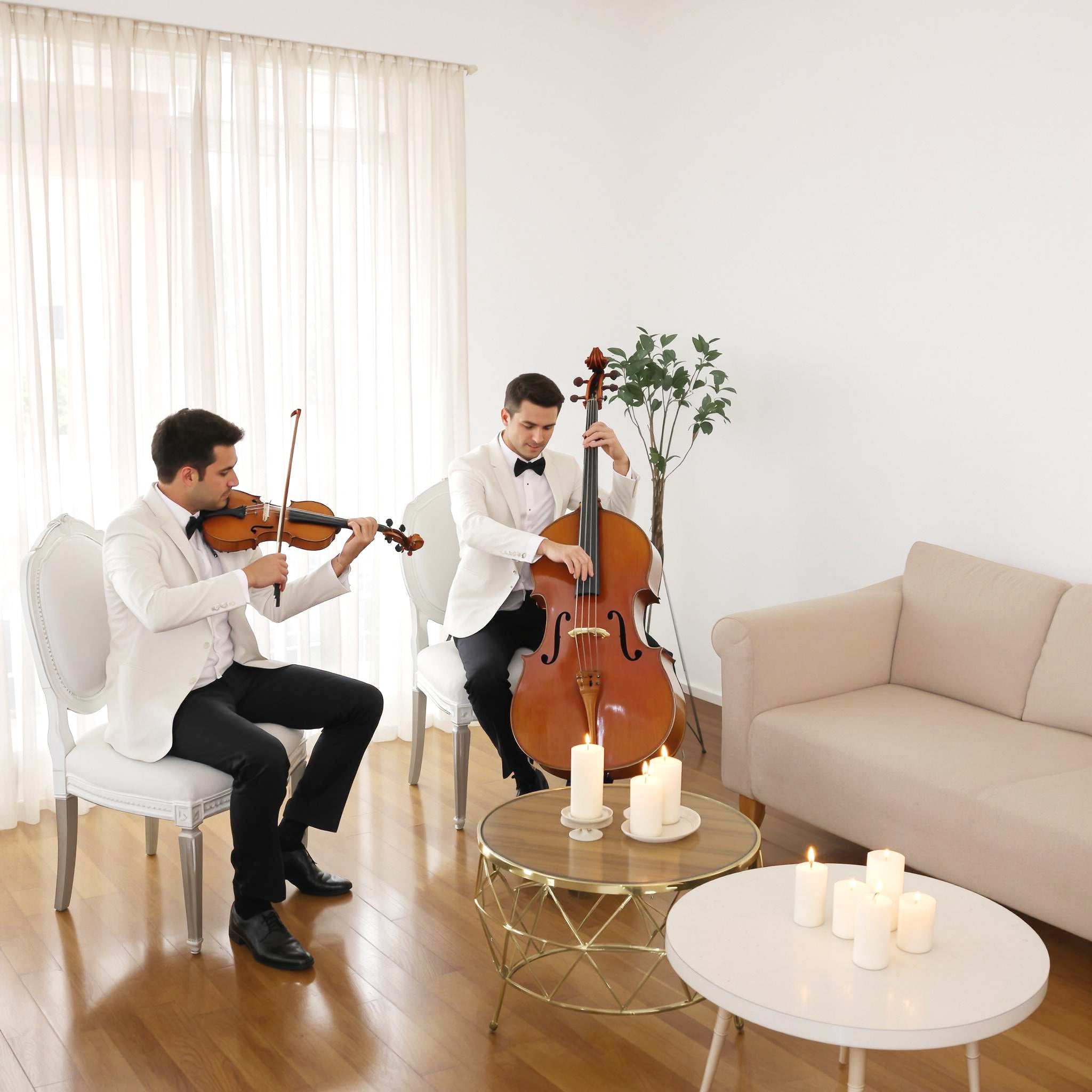 Concerto a casa con Violinista – Servizi, Deluxy