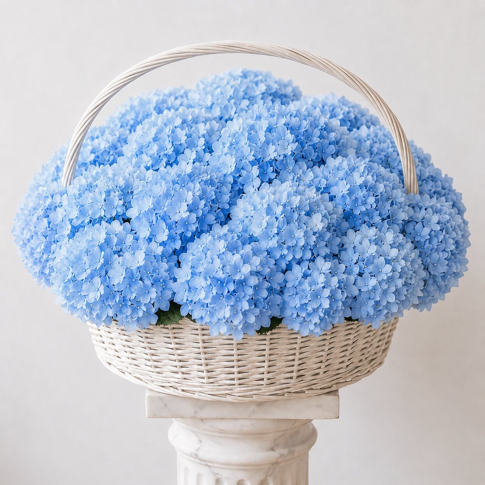 MAXI Cesto Ortensie Azzurre - DELUXY