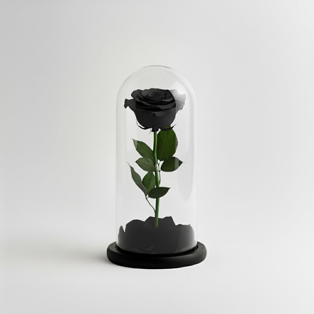 Rosa Eterna Nera - DELUXY