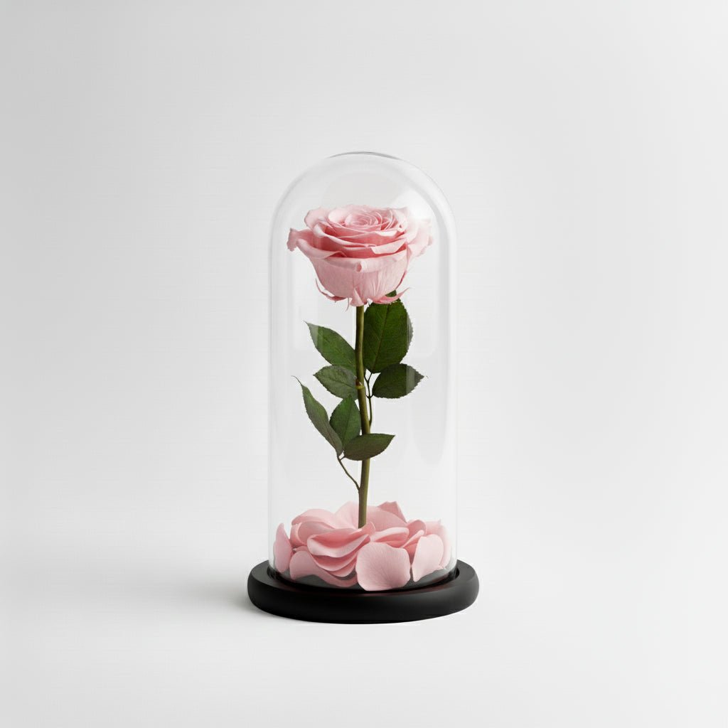 Rosa Eterna Rosa - DELUXY