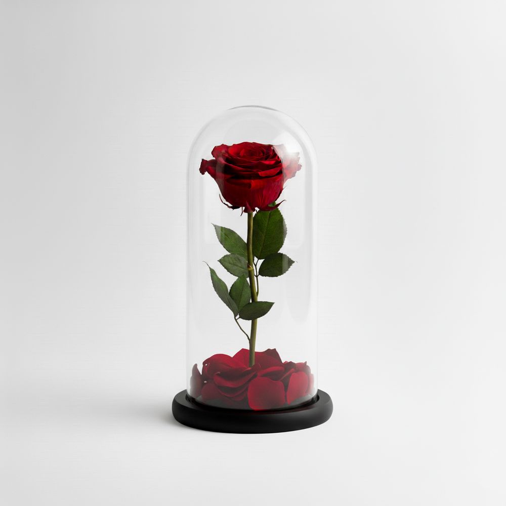 Rosa Eterna Rossa – Fiori, Deluxy, vista 4