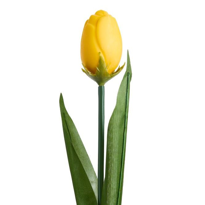 Tulipano al Bergamotto - DELUXY