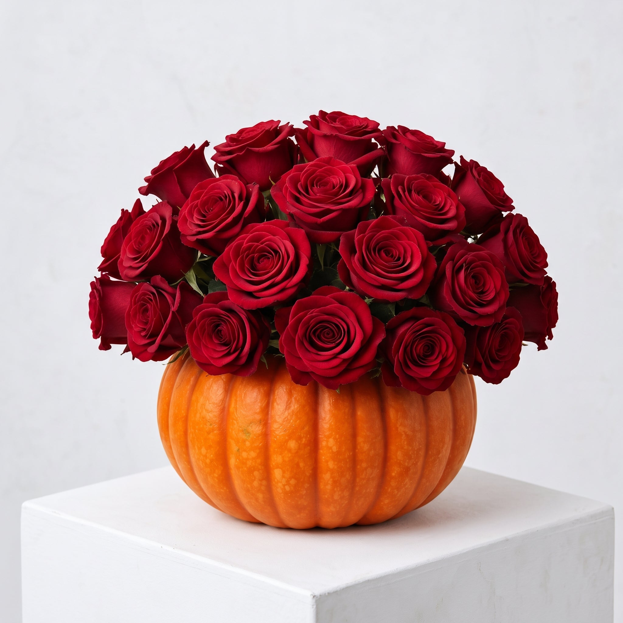 Zucca Romantica - DELUXY