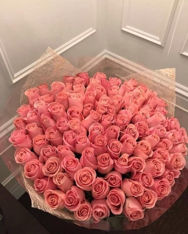 100 Rose Rosa - DELUXY