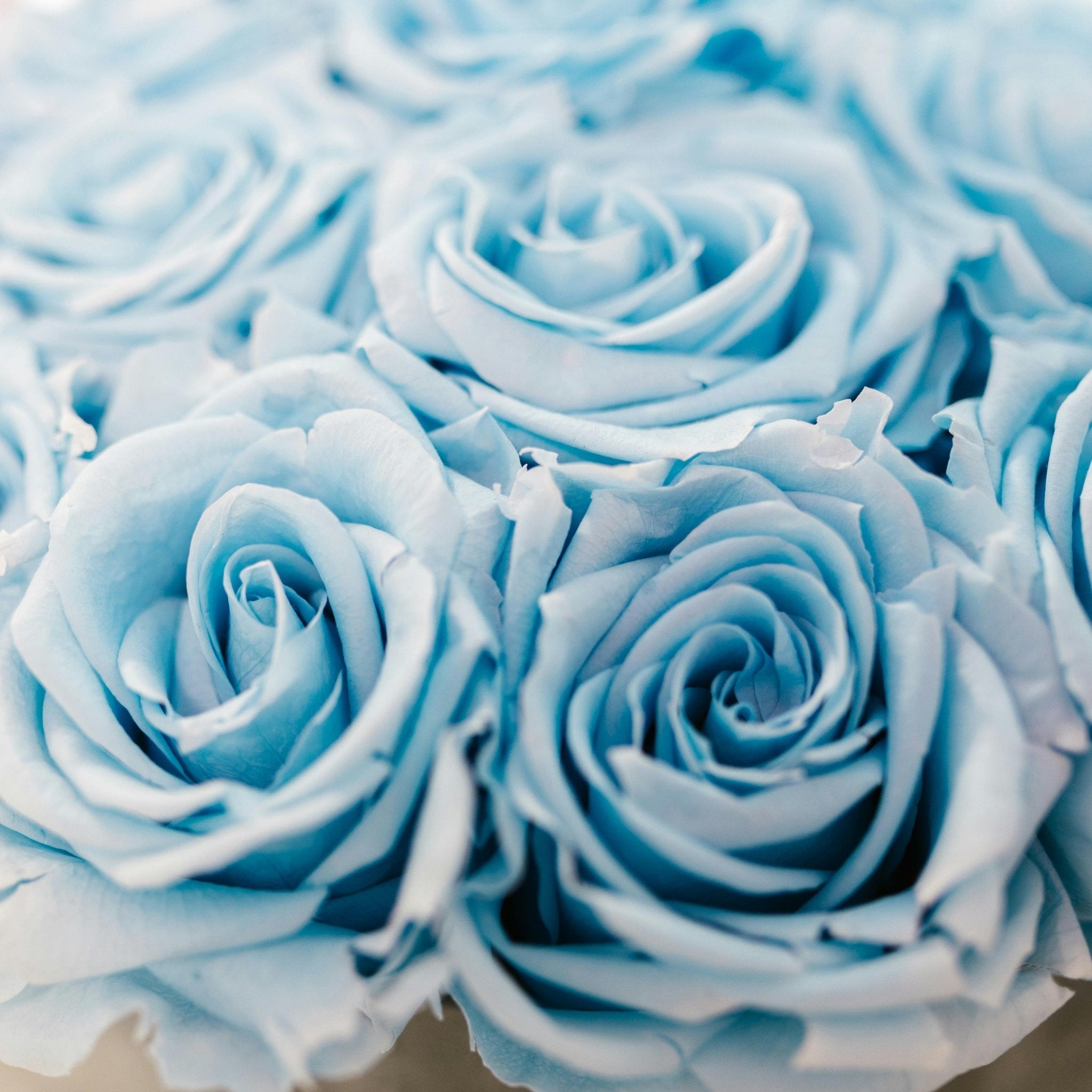 Bouquet Rose Blue - DELUXY