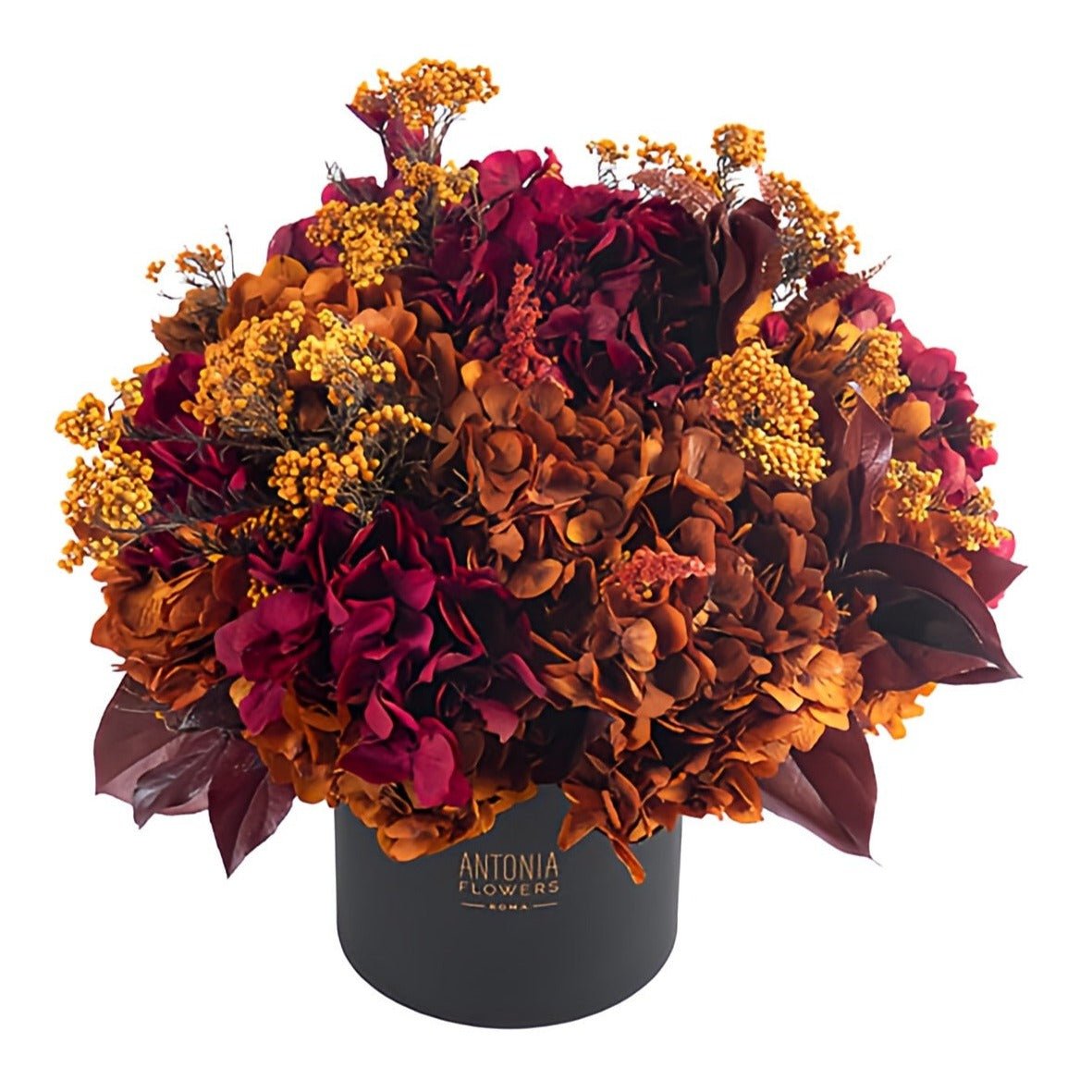 Flower Box Amber Sunrise - DELUXY